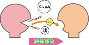 小児の感染症と予防 医療法人 羊蹄会 本部サイト